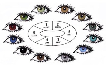 Baby Eye Color Chart